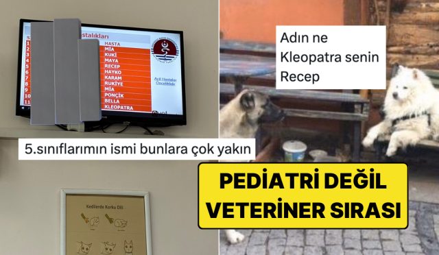 veteriner-kliniginin-bekleyen-hasta-ekranindaki-bi-acayip-isimler-DOREi5XY.jpg