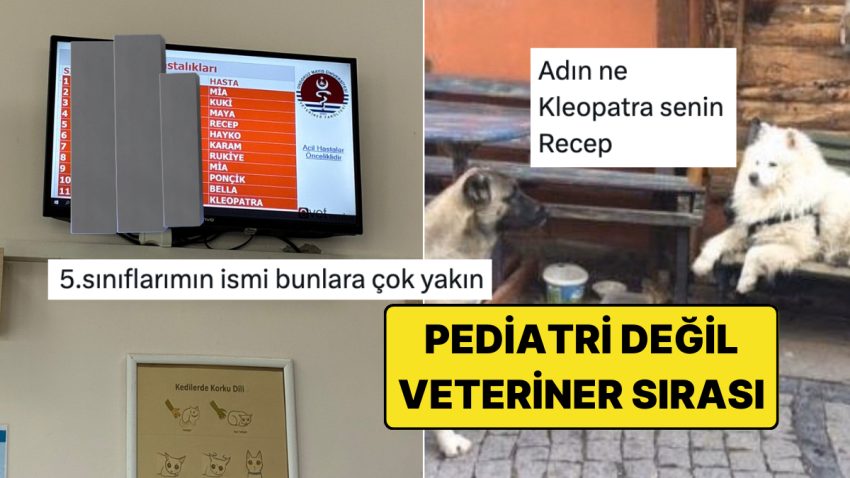 Veteriner Kliniğinin Bekleyen Hasta Ekranındaki Bi’ Acayip İsimler