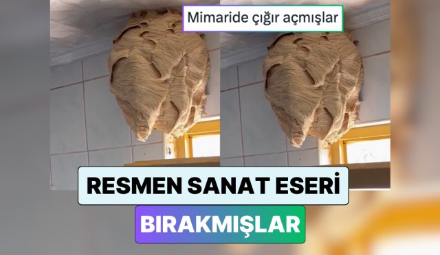 yeni-fobi-yuklendi-iki-aydir-tatilde-olan-aile-donduklerinde-hic-beklemedikleri-bir-goruntuyle-karsilasti-ZRwV7ubQ.jpg