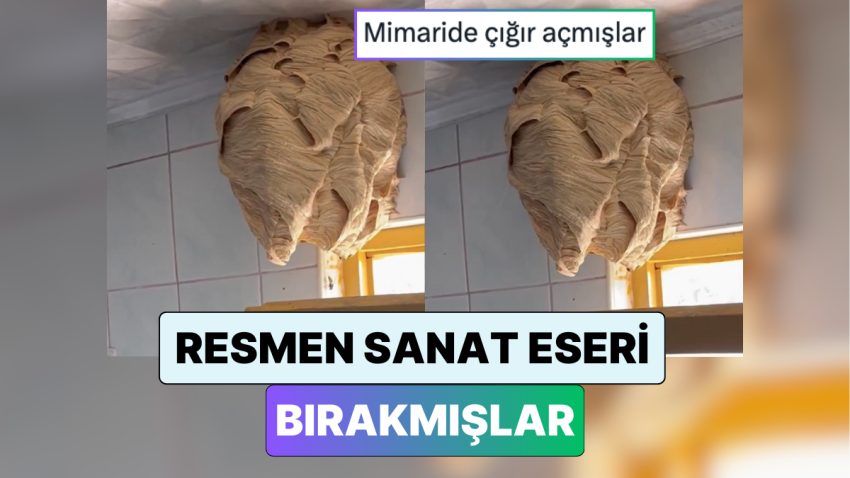 Yeni Fobi Yüklendi: İki Aydır Tatilde Olan Aile Döndüklerinde Hiç Beklemedikleri Bir Görüntüyle Karşılaştı