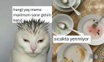 z-nesli-kediden-sicakta-istahi-kapananlara-son-24-saatin-viral-tweetleri-XjJcgupU.jpg
