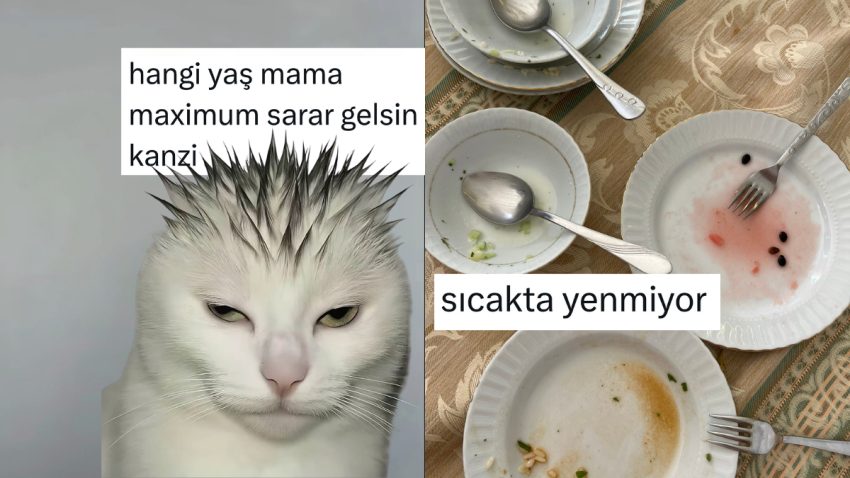 Z Nesli Kediden Sıcakta İştahı Kapananlara Son 24 Saatin Viral Tweetleri