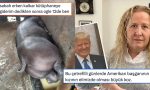 2026nin-cok-suratli-baslamasindan-trumpin-kizinin-elimizde-olmasina-son-24-saatin-viral-tweetleri-kPwSWabw.jpg