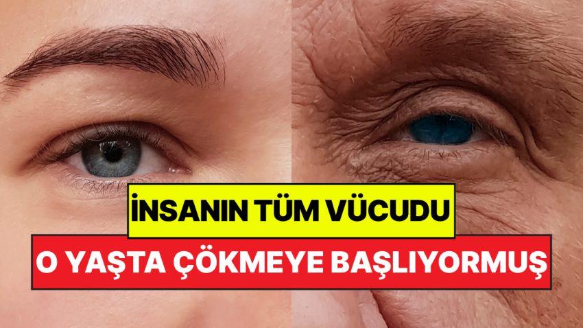 47 Yıllık Araştırma Sonuçlandı: İnsan Bedeninin Çökmeye Başladığı Kritik Yaş Muhakkak Oldu!