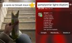 aciklanamayan-isiriktan-altin-gunu-kuralarina-son-24-saatin-viral-tweetleri-nbaubuj7.jpg