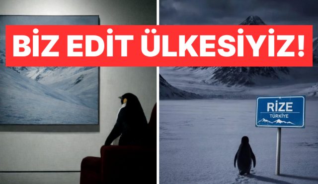 adeta-icimizden-biri-uzere-olan-nihilist-penguen-toplumsal-medyanin-gozdesi-oldu-MsKJPEQq.jpg
