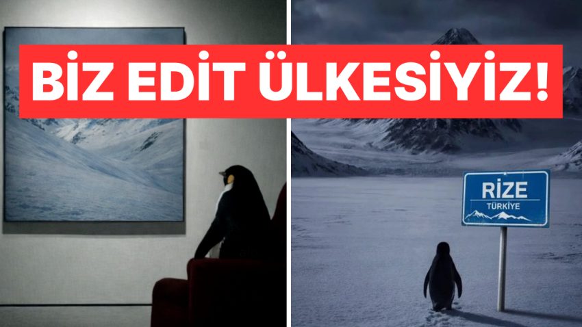 Adeta İçimizden Biri Üzere Olan “Nihilist Penguen” Toplumsal Medyanın Gözdesi Oldu