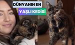 aralikta-30-yasina-girecek-dunyanin-yasayan-en-yasli-kedisi-flossieye-tanisin-LQQAJuvX.jpg