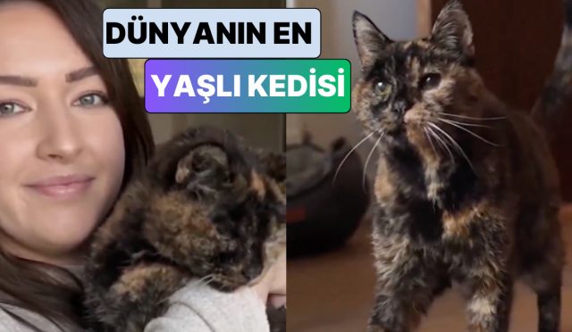 aralikta-30-yasina-girecek-dunyanin-yasayan-en-yasli-kedisi-flossieye-tanisin-LQQAJuvX.jpg