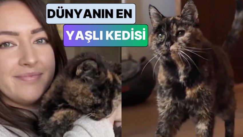 Aralık’ta 30 Yaşına Girecek! Dünyanın Yaşayan En Yaşlı Kedisi Flossie’ye Tanışın