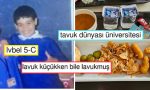 arkadasini-zorbalamaya-doyamayanlardan-kasim-ayi-sivrisineklerinden-bikanlara-son-24-saatin-viral-tweetleri-gigPLYLF.jpg