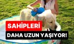 artik-bilim-de-onayladi-meskende-kopek-besleyenler-daha-uzun-ve-memnun-yasiyor-kO6anAQc.jpg