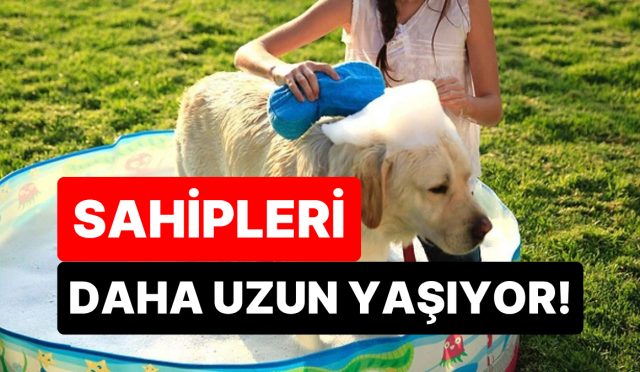 artik-bilim-de-onayladi-meskende-kopek-besleyenler-daha-uzun-ve-memnun-yasiyor-kO6anAQc.jpg