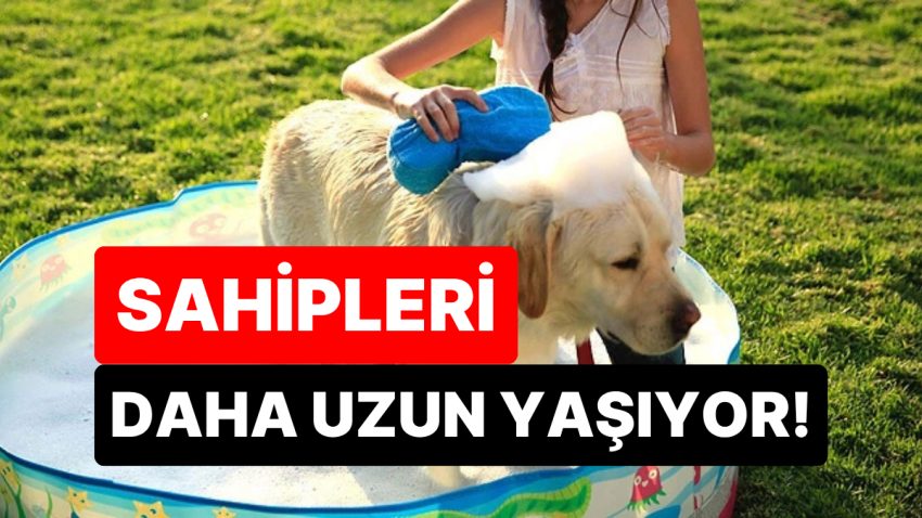 Artık Bilim de Onayladı: Meskende Köpek Besleyenler Daha Uzun ve Memnun Yaşıyor