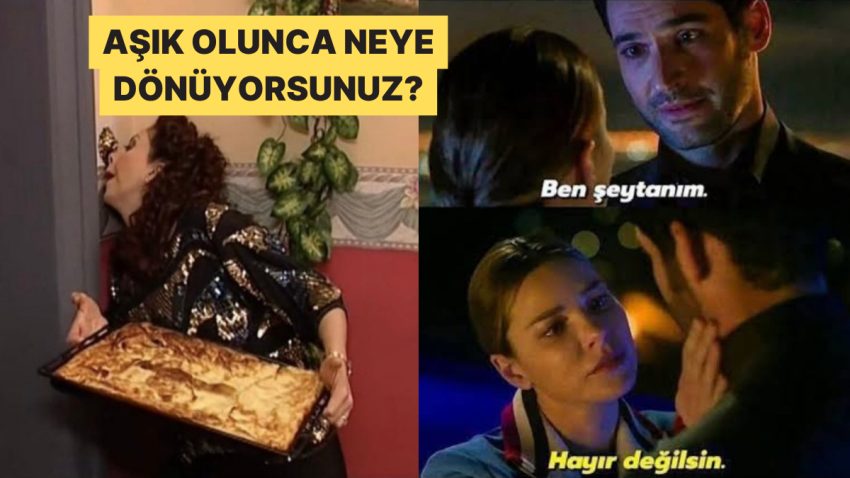 Aşık Olunca Neye Benzediklerini Tek Görselle Anlatan Şahıslar
