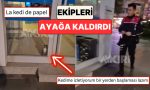 aydinda-bir-bankanin-alarmlarinin-calmasi-uzerine-olay-yerine-giden-polis-kapida-kedi-ile-karsilasti-WIb22iwR.jpg
