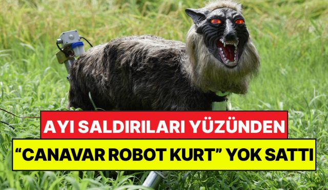 ayilardan-kurtulmak-icin-canavar-kurt-yaptilar-her-yerde-yok-satiyor-9FGs1Mx7.jpg