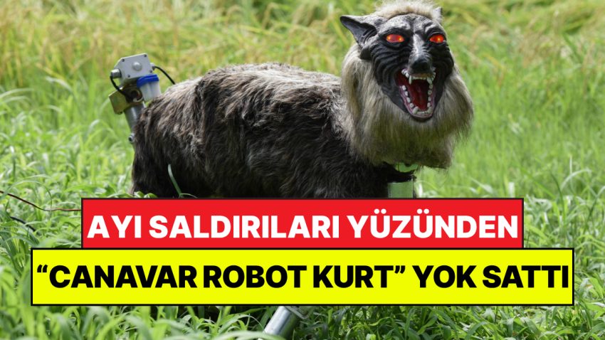 Ayılardan Kurtulmak İçin “Canavar Kurt” Yaptılar: Her Yerde Yok Satıyor