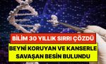 bilim-30-yillik-sirri-cozdu-beyni-koruyan-ve-kanserle-savasan-kapali-besin-bulundu-mL2RrYaB.jpg