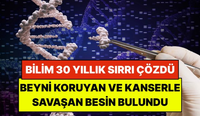 bilim-30-yillik-sirri-cozdu-beyni-koruyan-ve-kanserle-savasan-kapali-besin-bulundu-mL2RrYaB.jpg
