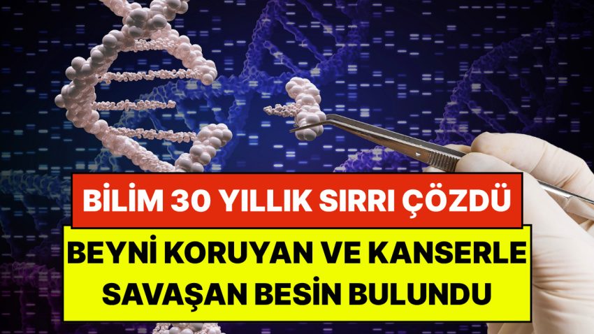 Bilim 30 Yıllık Sırrı Çözdü: Beyni Koruyan ve Kanserle Savaşan Kapalı Besin Bulundu