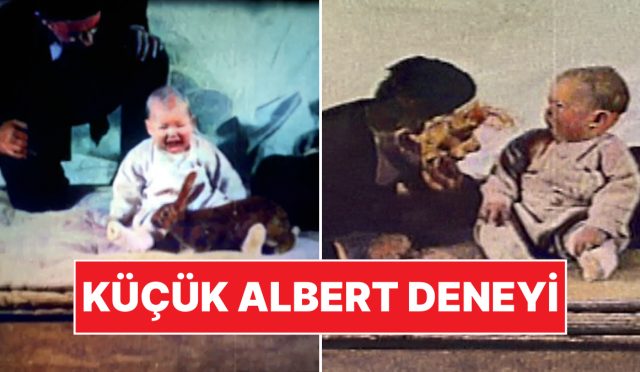 bilim-dunyasinin-kara-lekesi-kucuk-bebek-hayati-boyunca-deneyin-tesirinden-cikamadi-5JW1gEhI.jpg