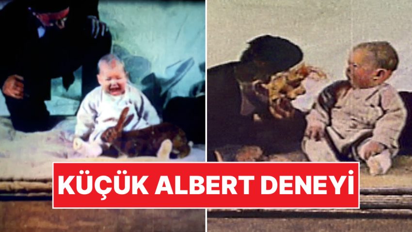 Bilim Dünyasının Kara Lekesi: Küçük Bebek Hayatı Boyunca Deneyin Tesirinden Çıkamadı