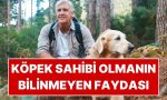 bilim-insanlari-acikladi-kopek-sahiplerinin-demans-riski-daha-dusuk-HQFFqqSO.jpg