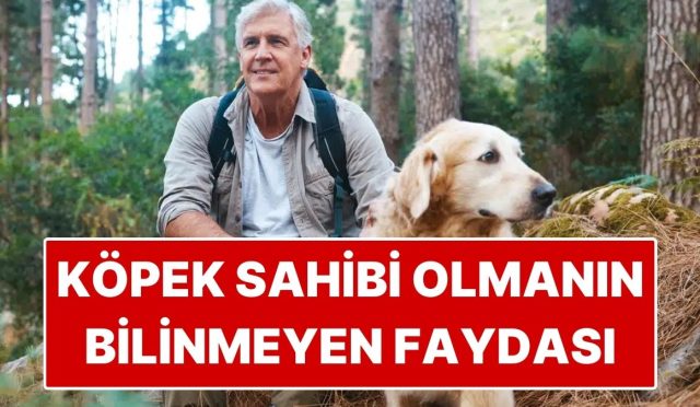 bilim-insanlari-acikladi-kopek-sahiplerinin-demans-riski-daha-dusuk-HQFFqqSO.jpg