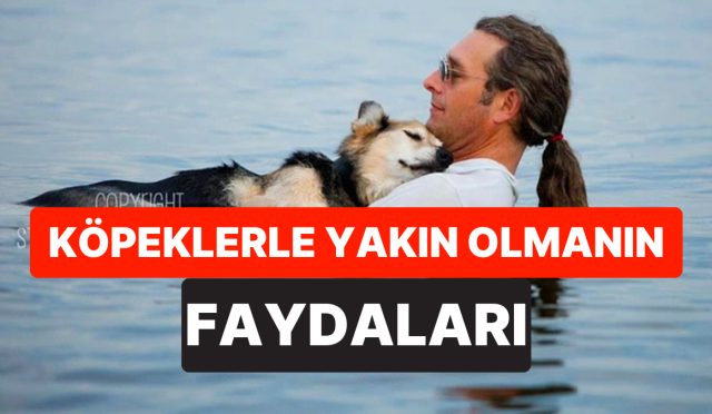 bilim-insanlari-acikladi-kopeklerin-sahibini-yalamasi-ruh-sihhatini-guclendiriyor-gh9TCcf5.jpg