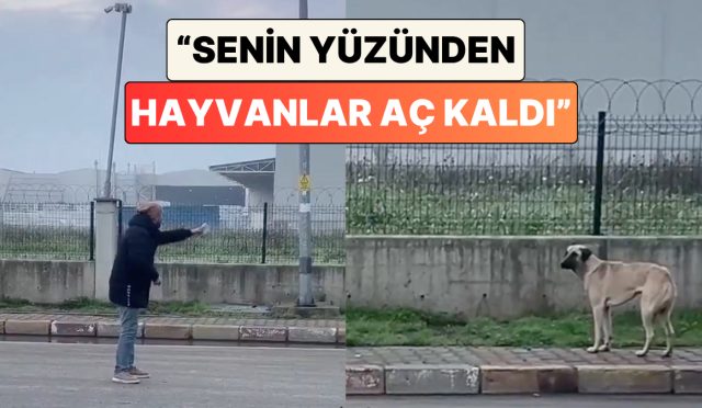 bir-adamin-pogaca-verdigi-kopekle-yasadigi-tartisma-izleyenleri-guldurdu-senin-yuzunden-hayvanlar-ac-kaldi-CFjiNeKm.jpg