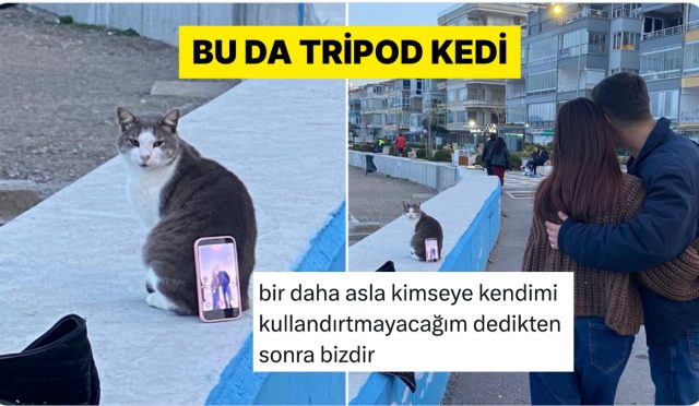bir-ciftin-tripod-olarak-kullandigi-kedi-viral-oldu-1WOjhIan.jpg
