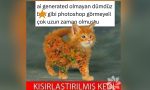 bir-cirpida-biten-subat-ayinin-en-komik-tweetleri-vGMCimVB.jpg