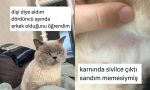 birinci-sefer-kedi-sahiplendiklerinde-yasadiklari-acemilikleri-anlatan-kediseverler-5eWRqdnM.jpg