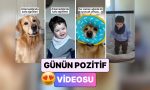birlikte-buyuyen-bir-kopek-ve-bir-bebegin-birbirlerinin-birebiri-uzere-gorundugu-anlara-kalbinizi-birakacaksiniz-GJsdcbYR.jpg