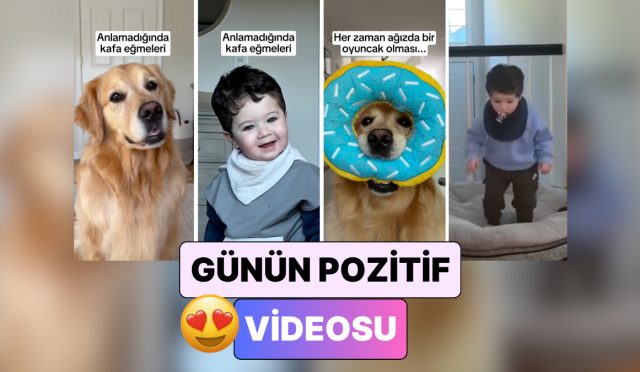 birlikte-buyuyen-bir-kopek-ve-bir-bebegin-birbirlerinin-birebiri-uzere-gorundugu-anlara-kalbinizi-birakacaksiniz-GJsdcbYR.jpg