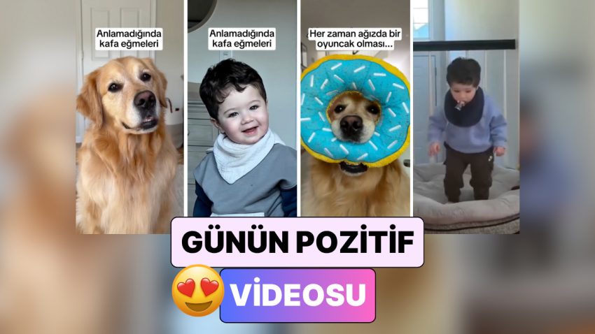 Birlikte Büyüyen Bir Köpek ve Bir Bebeğin Birbirlerinin Birebiri Üzere Göründüğü Anlara Kalbinizi Bırakacaksınız