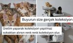biz-kedi-ulkesiyiz-konuttaki-kedi-koleksiyonlarini-gostererek-sicacik-yapan-kullanicilar-yyN55uZm.jpg