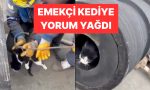 borudan-ip-gecirmek-icin-kullanilan-isci-kedi-viral-oldu-yjgcabPw.jpg