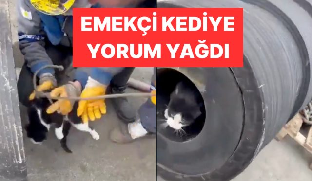 borudan-ip-gecirmek-icin-kullanilan-isci-kedi-viral-oldu-yjgcabPw.jpg