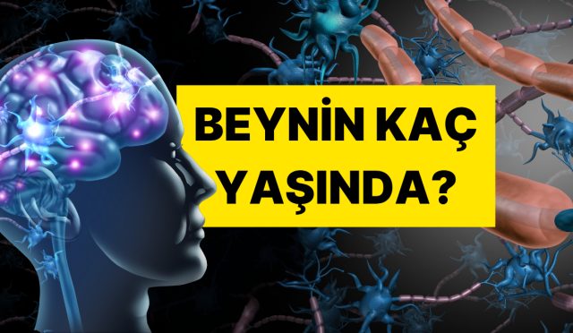 bu-5-sorudan-en-az-3une-evet-diyorsaniz-beyniniz-hayli-yasli-brU2Bx8W.jpg
