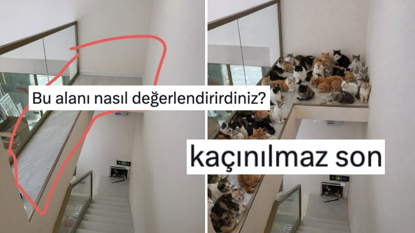 “Bu Alanı Nasıl Değerlendirirdiniz?” Deyip Mizahşörlerin Yaratıcılığını Konuşturan Kişi
