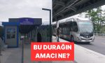 bu-beserler-nereye-gidiyor-istanbullularin-yillardir-cozemedigi-gizemli-olay-aydinlatildi-DKrYRUmy.jpg