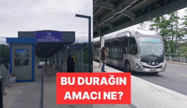 bu-beserler-nereye-gidiyor-istanbullularin-yillardir-cozemedigi-gizemli-olay-aydinlatildi-DKrYRUmy.jpg