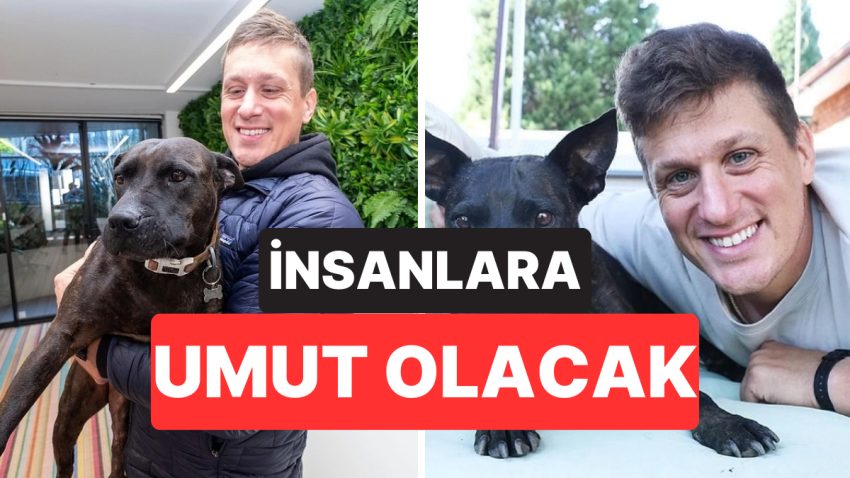 ChatGPT Yardımıyla Köpeği İçin Şahsileştirilmiş Kanser Aşısı Geliştirdi