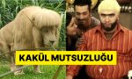 cinde-bir-hayvanat-bahcesinde-tiras-edilen-aslanin-hali-lisanlara-dustu-Wfm9B1e2.jpg