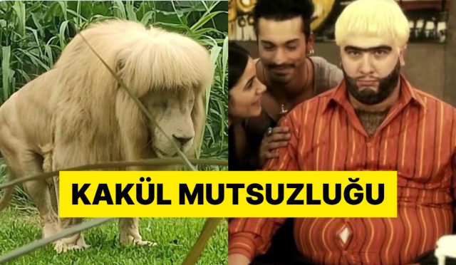 cinde-bir-hayvanat-bahcesinde-tiras-edilen-aslanin-hali-lisanlara-dustu-Wfm9B1e2.jpg