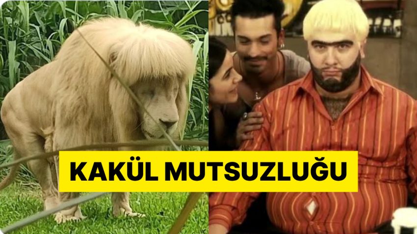 Çin’de Bir Hayvanat Bahçesinde Tıraş Edilen Aslanın Hali Lisanlara Düştü