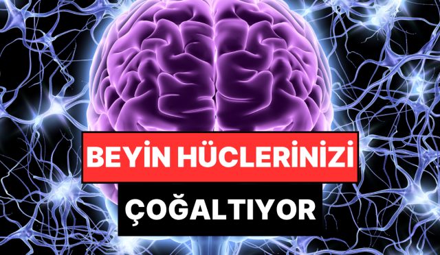 cinli-uzmanlar-acikladi-beyin-icin-genclik-iksiri-niteliginde-olan-3-idman-6t7lnOun.jpg