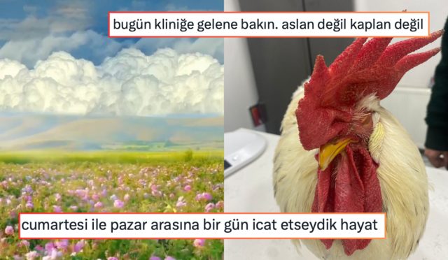 cumartesi-ve-pazar-ortasinda-bir-gun-hayal-edenden-duz-lise-sozune-kirilana-son-c1NZn8ak.jpg